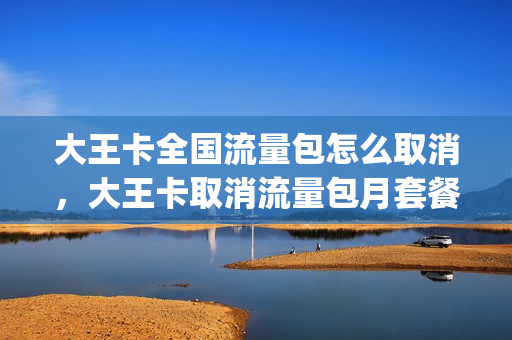 大王卡全国流量包怎么取消，大王卡取消流量包月套餐(大王卡订购的流量包怎么取消)
