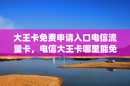 大王卡免费申请入口电信流量卡，电信大王卡哪里能免费申请(中国电信大王卡办理)