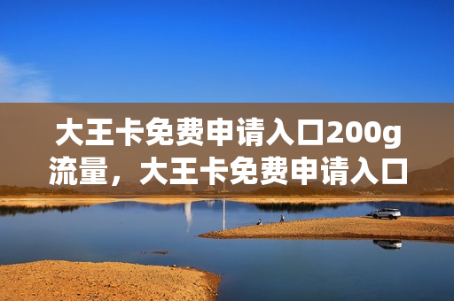 大王卡免费申请入口200g流量，大王卡免费申请入口200g流量(大王卡免费申请是真的吗)