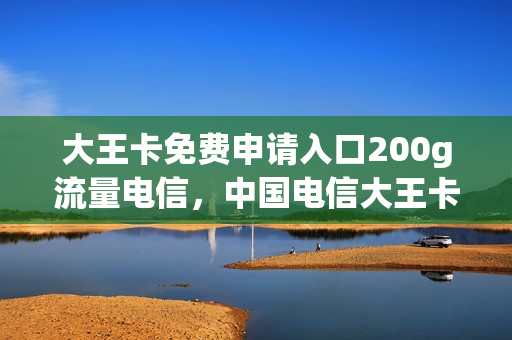 大王卡免费申请入口200g流量电信，中国电信大王卡办理(电信大王卡申请 29元)