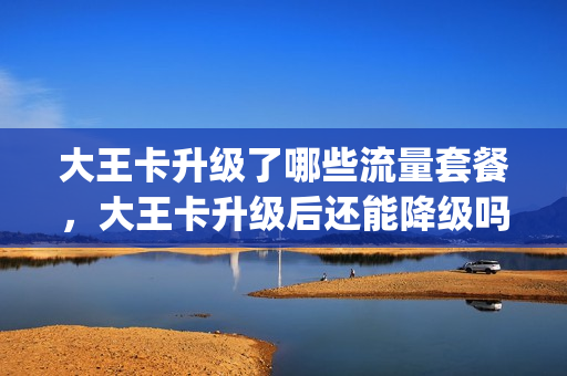 大王卡升级了哪些流量套餐，大王卡升级后还能降级吗(大王卡升级后会有什么变化)