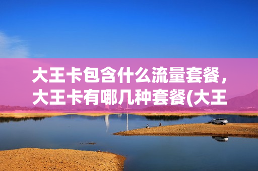 大王卡包含什么流量套餐，大王卡有哪几种套餐(大王卡包括哪些流量)
