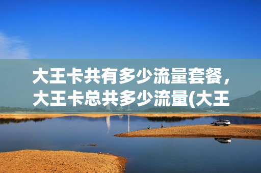 大王卡共有多少流量套餐，大王卡总共多少流量(大王卡含多少流量)