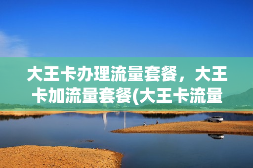 大王卡办理流量套餐，大王卡加流量套餐(大王卡流量费怎么收)