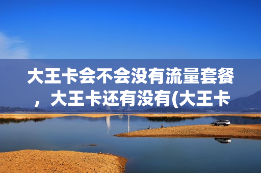 大王卡会不会没有流量套餐，大王卡还有没有(大王卡不用流量扣费吗)