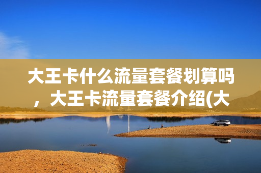 大王卡什么流量套餐划算吗，大王卡流量套餐介绍(大王卡什么套餐流量多)
