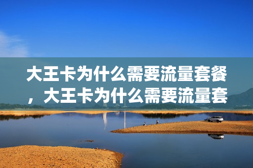 大王卡为什么需要流量套餐，大王卡为什么需要流量套餐呢(大王卡为什么还要流量)
