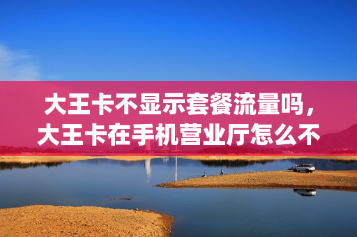 大王卡不显示套餐流量吗，大王卡在手机营业厅怎么不显示流量(大王卡为什么不显示剩余流量)
