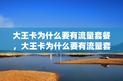 大王卡为什么要有流量套餐，大王卡为什么要有流量套餐呢(大王卡为什么还有流量限制)