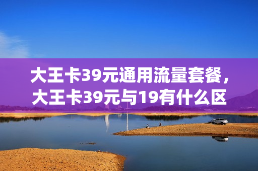 大王卡39元通用流量套餐，大王卡39元与19有什么区别(腾讯大王卡39元套餐40g什么意思)