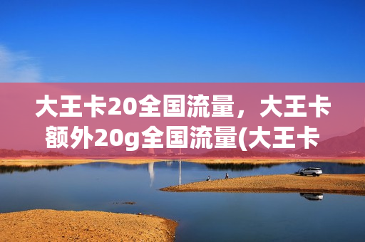 大王卡20全国流量，大王卡额外20g全国流量(大王卡20元40g流量包怎么办理)