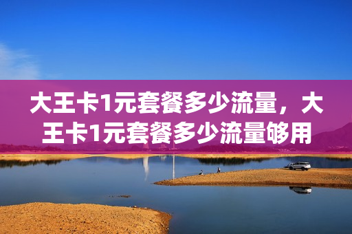 大王卡1元套餐多少流量，大王卡1元套餐多少流量够用(大王卡一元1g)