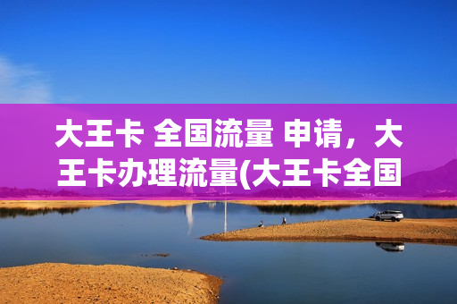 大王卡 全国流量 申请，大王卡办理流量(大王卡全国流量是什么意思)