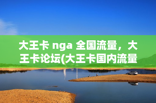 大王卡 nga 全国流量，大王卡论坛(大王卡国内流量是什么意思)
