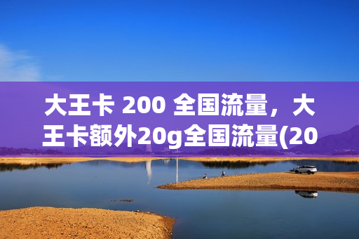 大王卡 200 全国流量，大王卡额外20g全国流量(200g的大王卡)