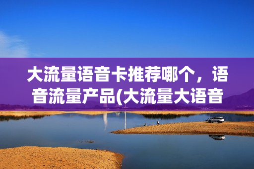 大流量语音卡推荐哪个，语音流量产品(大流量大语音套餐)