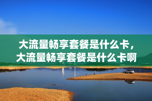大流量畅享套餐是什么卡，大流量畅享套餐是什么卡啊(国内流量畅享套餐)