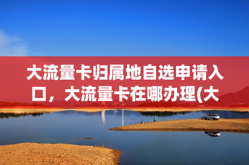 大流量卡归属地自选申请入口，大流量卡在哪办理(大流量卡2021)