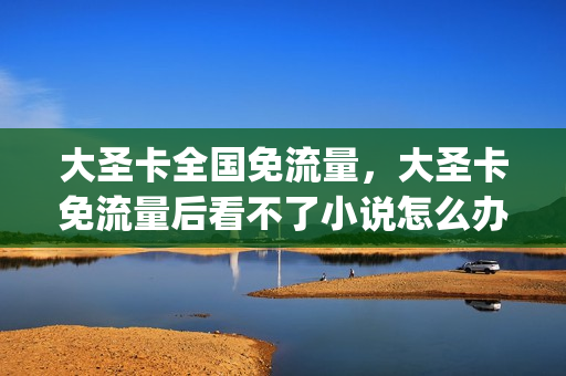 大圣卡全国免流量，大圣卡免流量后看不了小说怎么办(大圣卡免流量的应用怎么激活)