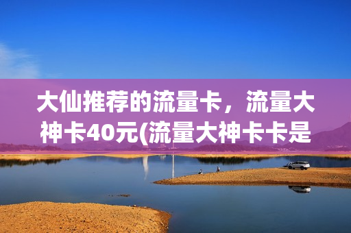 大仙推荐的流量卡，流量大神卡40元(流量大神卡卡是真的吗)
