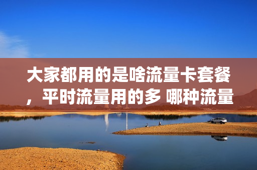 大家都用的是啥流量卡套餐，平时流量用的多 哪种流量卡划算(大家都用的什么流量卡套餐啊)