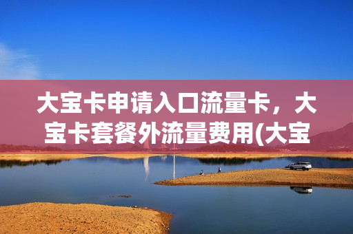 大宝卡申请入口流量卡，大宝卡套餐外流量费用(大宝卡流量不够用怎么办)