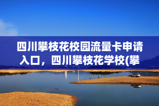 四川攀枝花校园流量卡申请入口，四川攀枝花学校(攀枝花市学生乘车卡怎么办理)