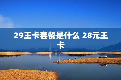 29王卡套餐是什么 28元王卡