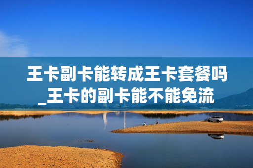 王卡副卡能转成王卡套餐吗_王卡的副卡能不能免流