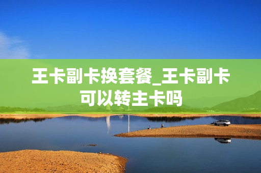 王卡副卡换套餐_王卡副卡可以转主卡吗