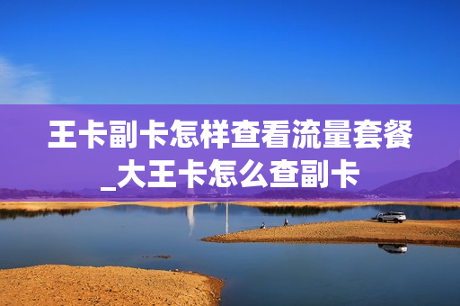 王卡副卡怎样查看流量套餐_大王卡怎么查副卡