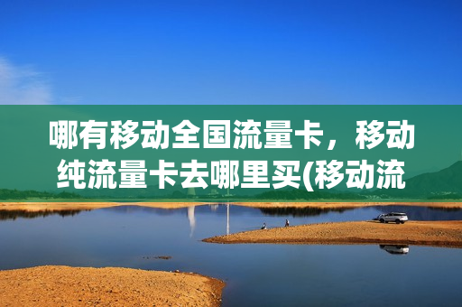 哪有移动全国流量卡，移动纯流量卡去哪里买(移动流量卡哪里有得卖)