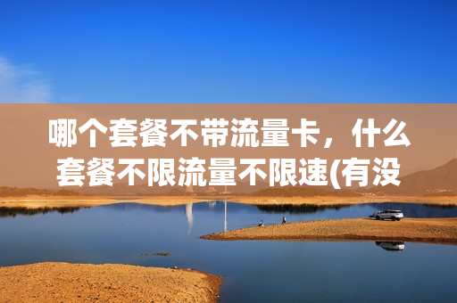哪个套餐不带流量卡，什么套餐不限流量不限速(有没有套餐不限量)