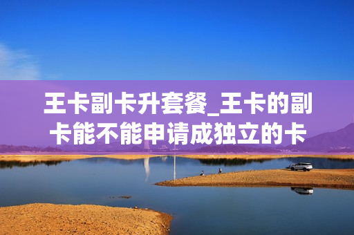 王卡副卡升套餐_王卡的副卡能不能申请成独立的卡