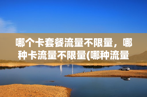 哪个卡套餐流量不限量，哪种卡流量不限量(哪种流量卡既不限速又划算)