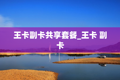 王卡副卡共享套餐_王卡 副卡