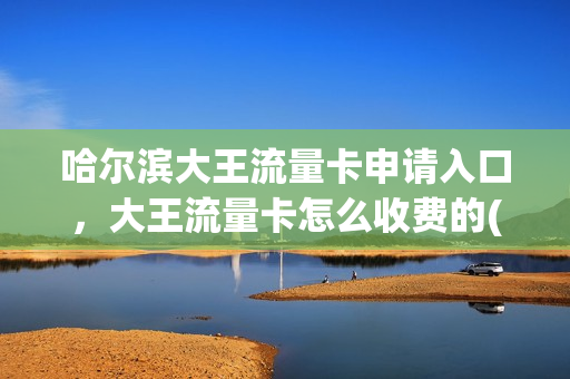 哈尔滨大王流量卡申请入口，大王流量卡怎么收费的(大王流量卡有移动的吗怎么用)