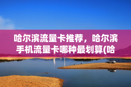 哈尔滨流量卡推荐，哈尔滨手机流量卡哪种最划算(哈尔滨什么卡网速快)
