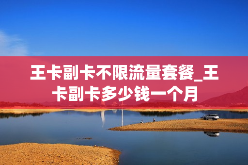 王卡副卡不限流量套餐_王卡副卡多少钱一个月