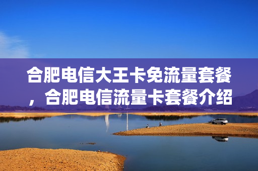 合肥电信大王卡免流量套餐，合肥电信流量卡套餐介绍(合肥电信套餐一览表)