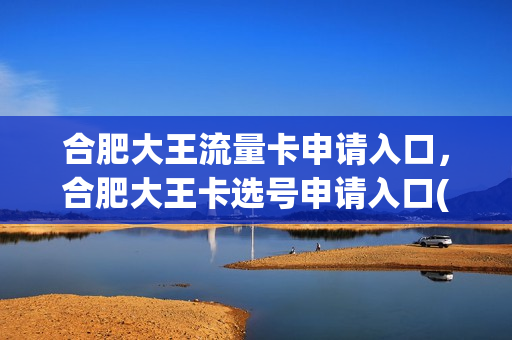 合肥大王流量卡申请入口，合肥大王卡选号申请入口(合肥移动大王卡套餐介绍)