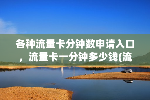 各种流量卡分钟数申请入口，流量卡一分钟多少钱(流量1分钟多少钱)