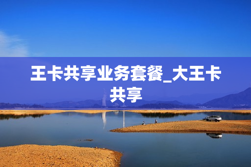 王卡共享业务套餐_大王卡共享