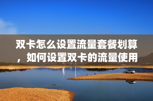 双卡怎么设置流量套餐划算，如何设置双卡的流量使用(双卡咋样设置流量)