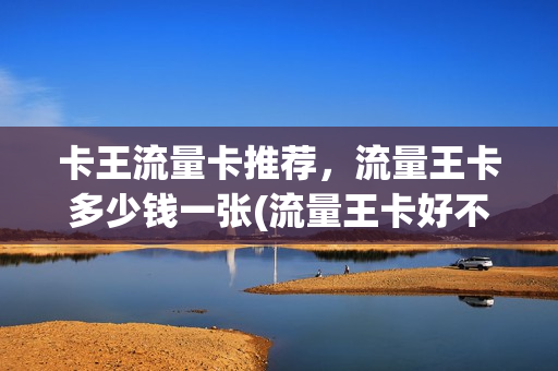 卡王流量卡推荐，流量王卡多少钱一张(流量王卡好不好)