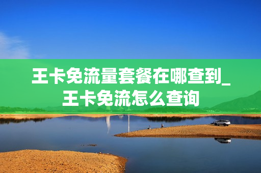 王卡免流量套餐在哪查到_王卡免流怎么查询