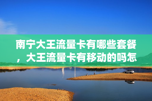 南宁大王流量卡有哪些套餐，大王流量卡有移动的吗怎么用(大王卡流量收费标准)