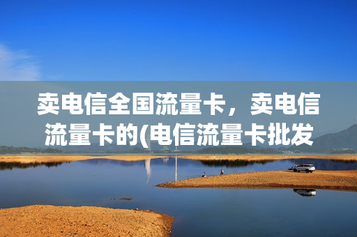 卖电信全国流量卡，卖电信流量卡的(电信流量卡批发)