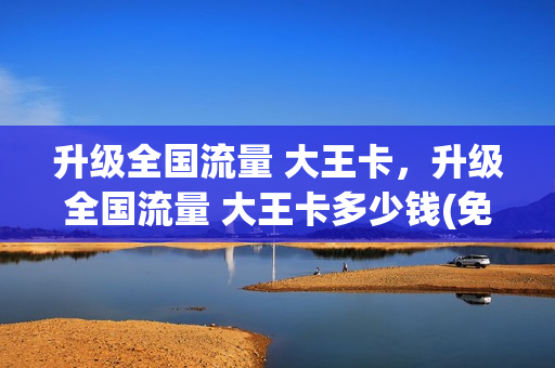升级全国流量 大王卡，升级全国流量 大王卡多少钱(免费升级大王卡)