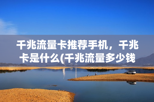 千兆流量卡推荐手机，千兆卡是什么(千兆流量多少钱一个月)